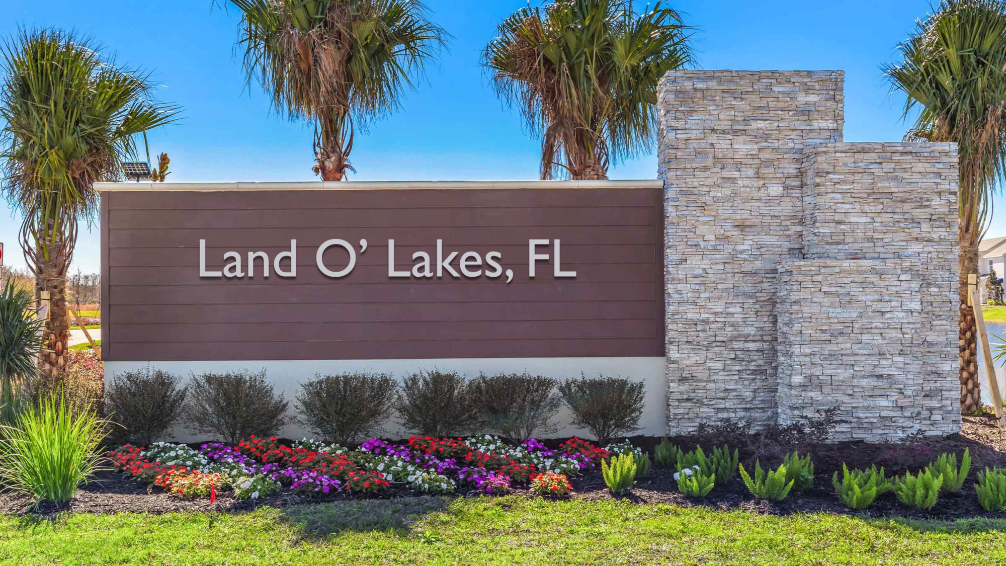 Land O Lakes FL family photographer Land O Lakes FL